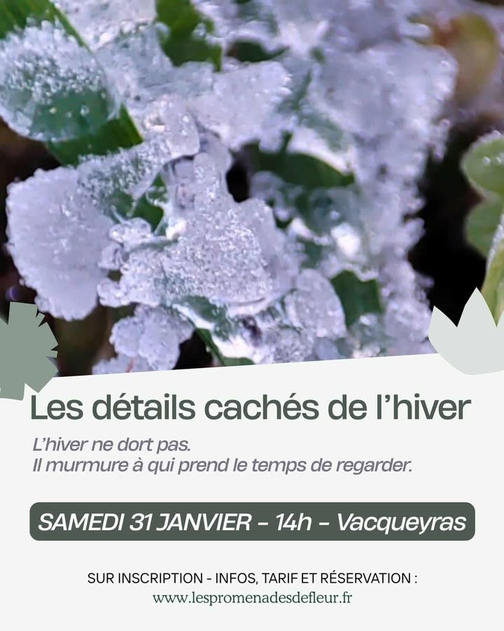 Promenade th�matique : les d�tails cach�s de l'hiver