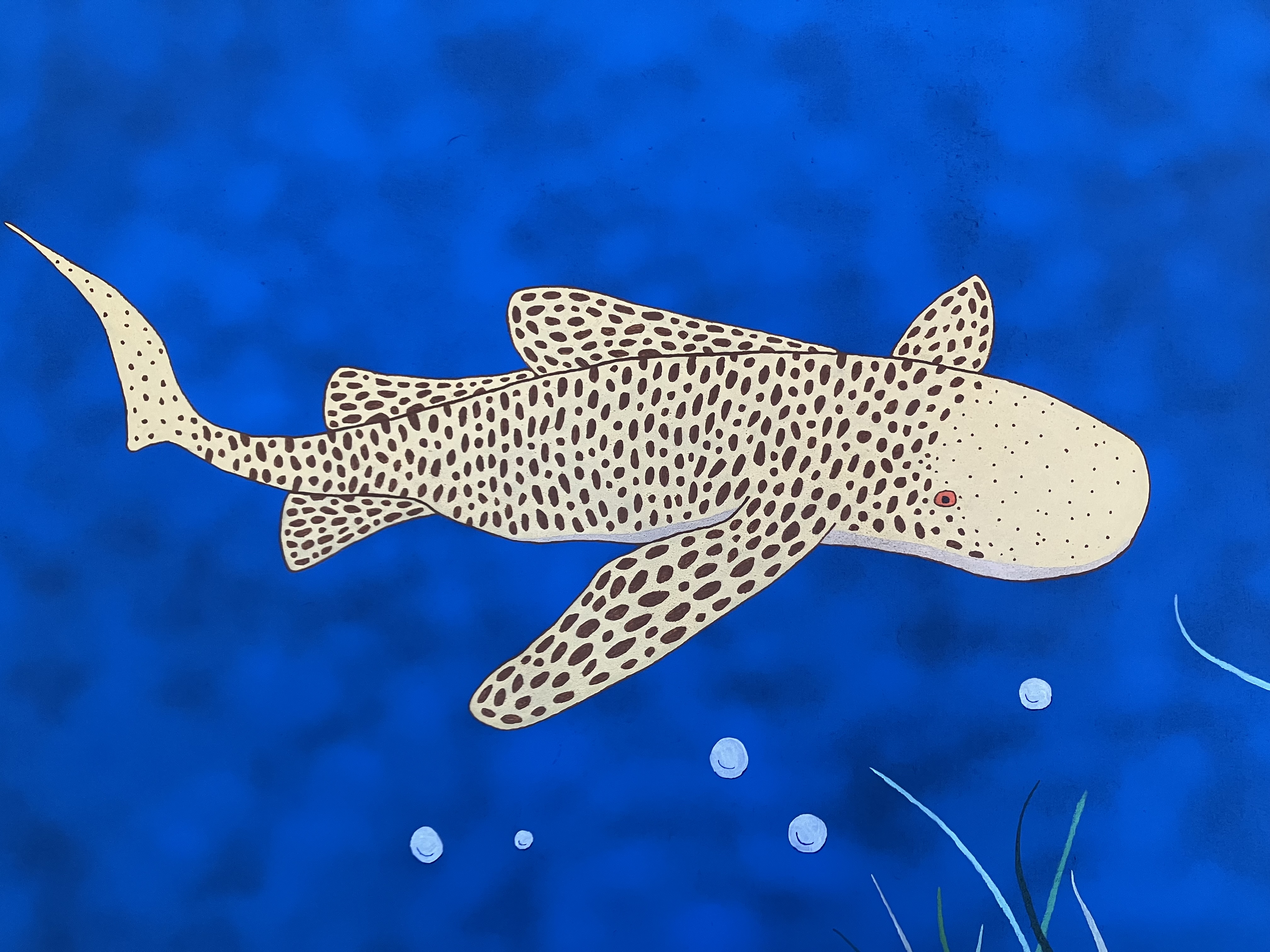 Au coeur de l'oc�an