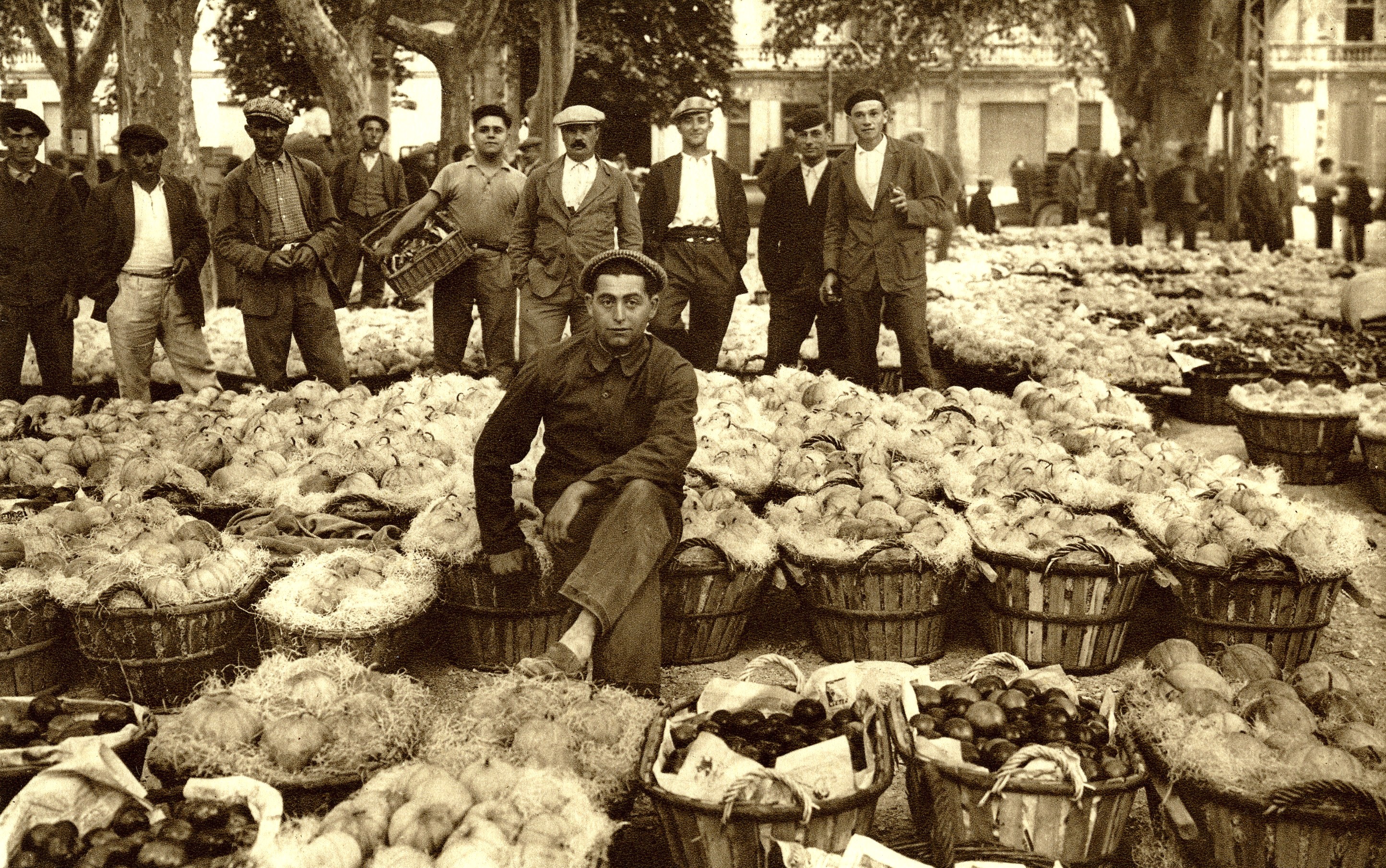 (Agri)Cultures - Exposition