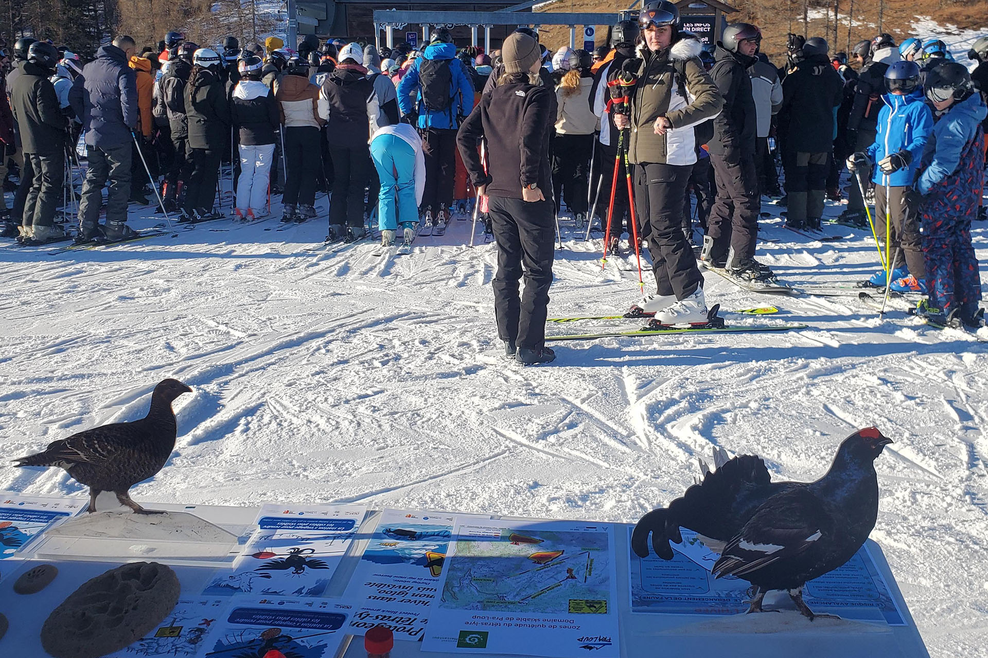 Sensibilisation � la faune sauvage et au risque avalanche