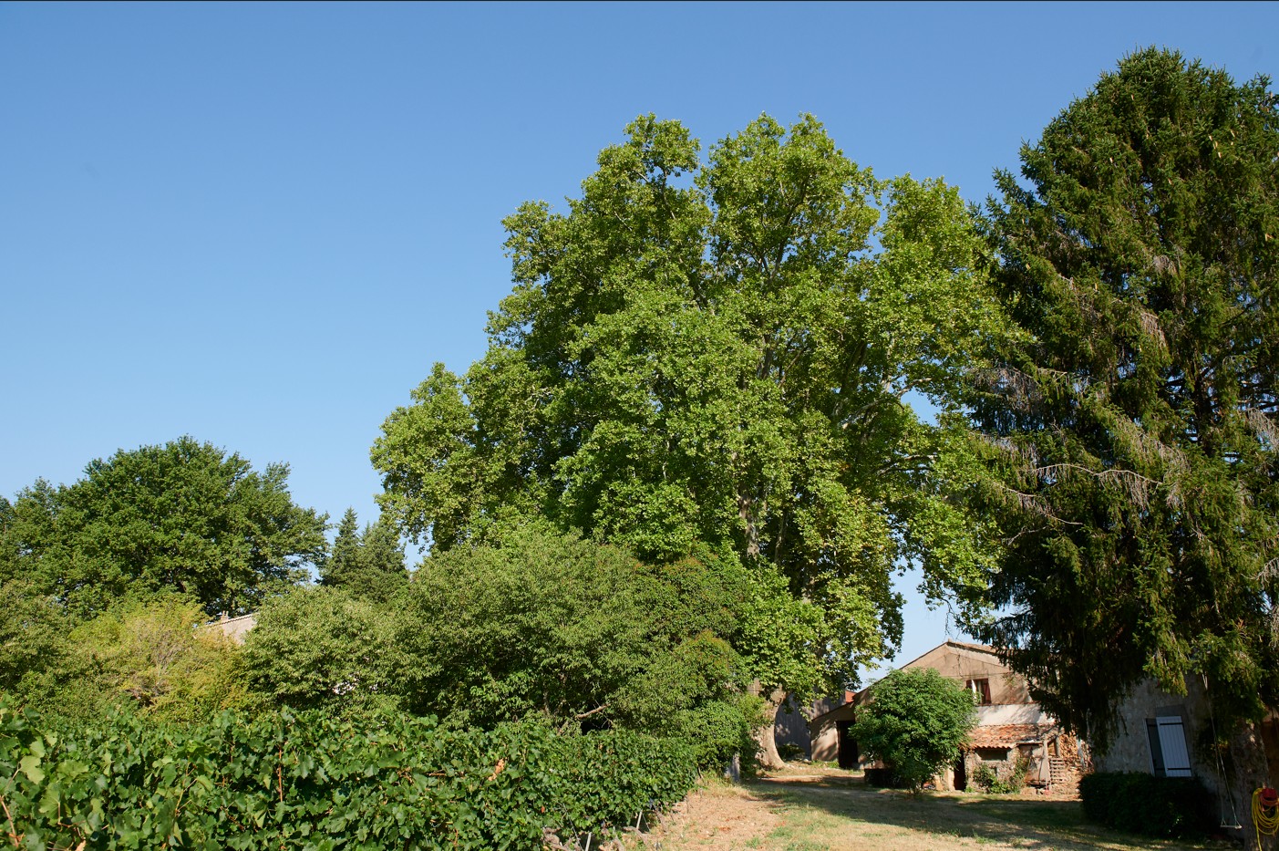 #RDVDUPARC � Permanence de conseils en architecture, paysage & urbanisme � La Celle