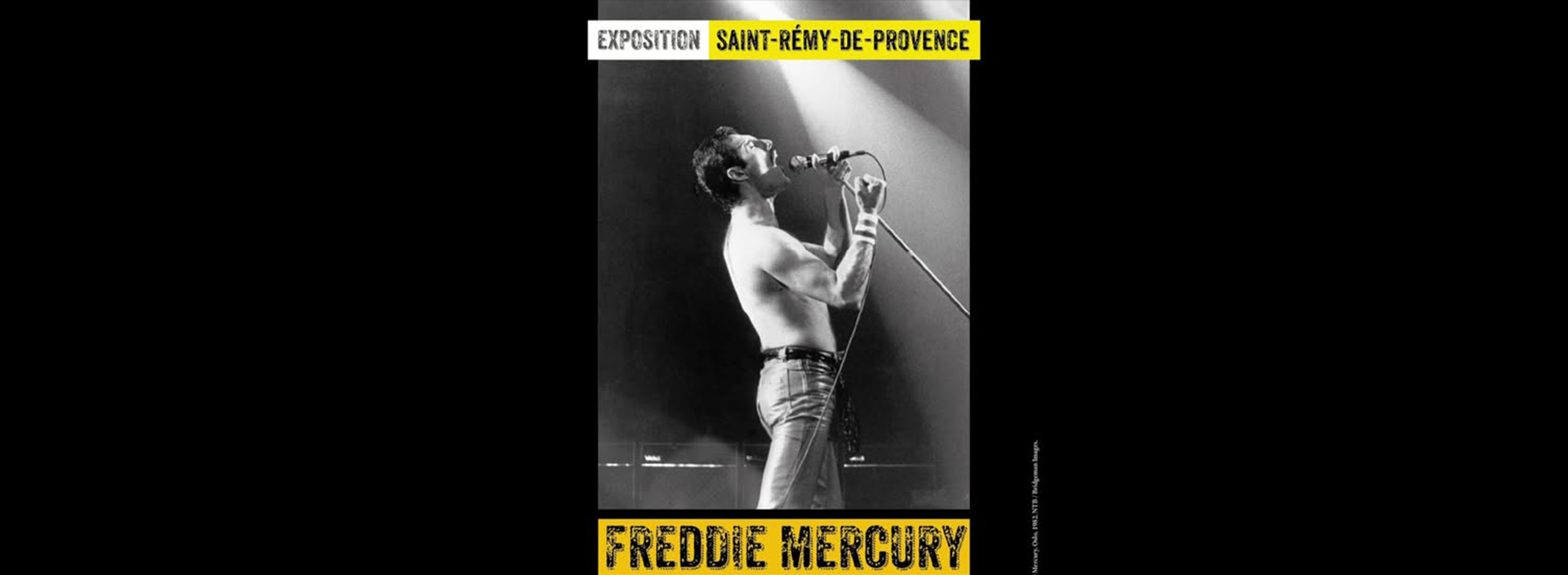 Exposition : Freddie Mercury, ne dis jamais adieu