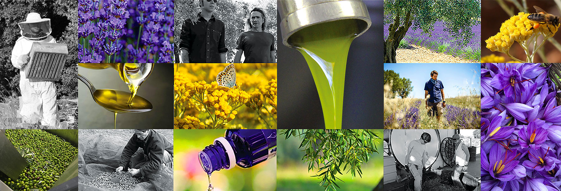 Visite de Terres de Bonaventure