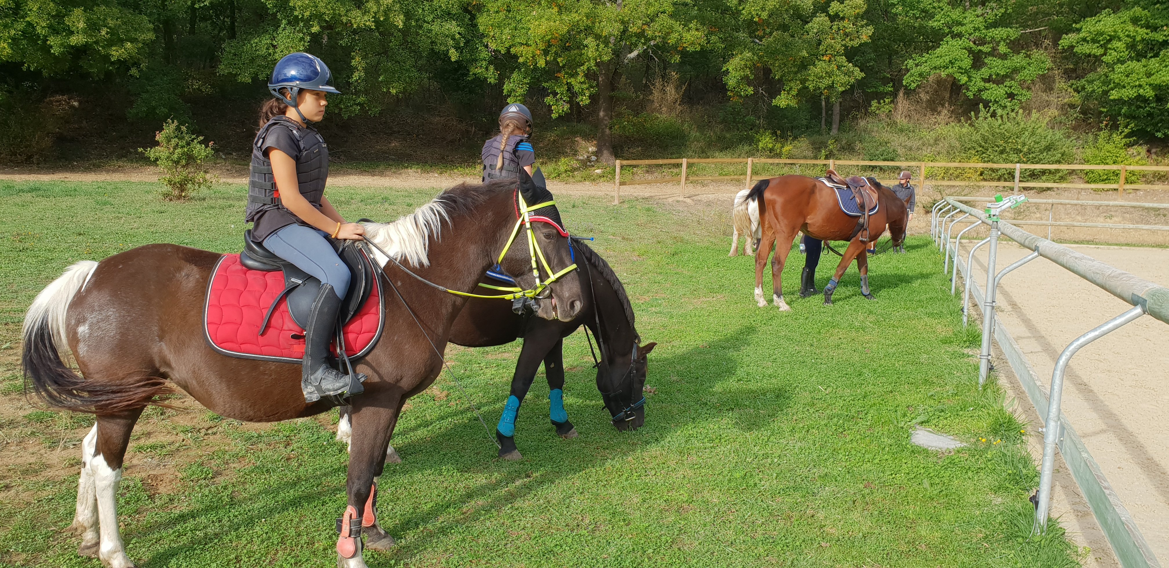 Vacances Nature avec les Poneys, les Chevaux.