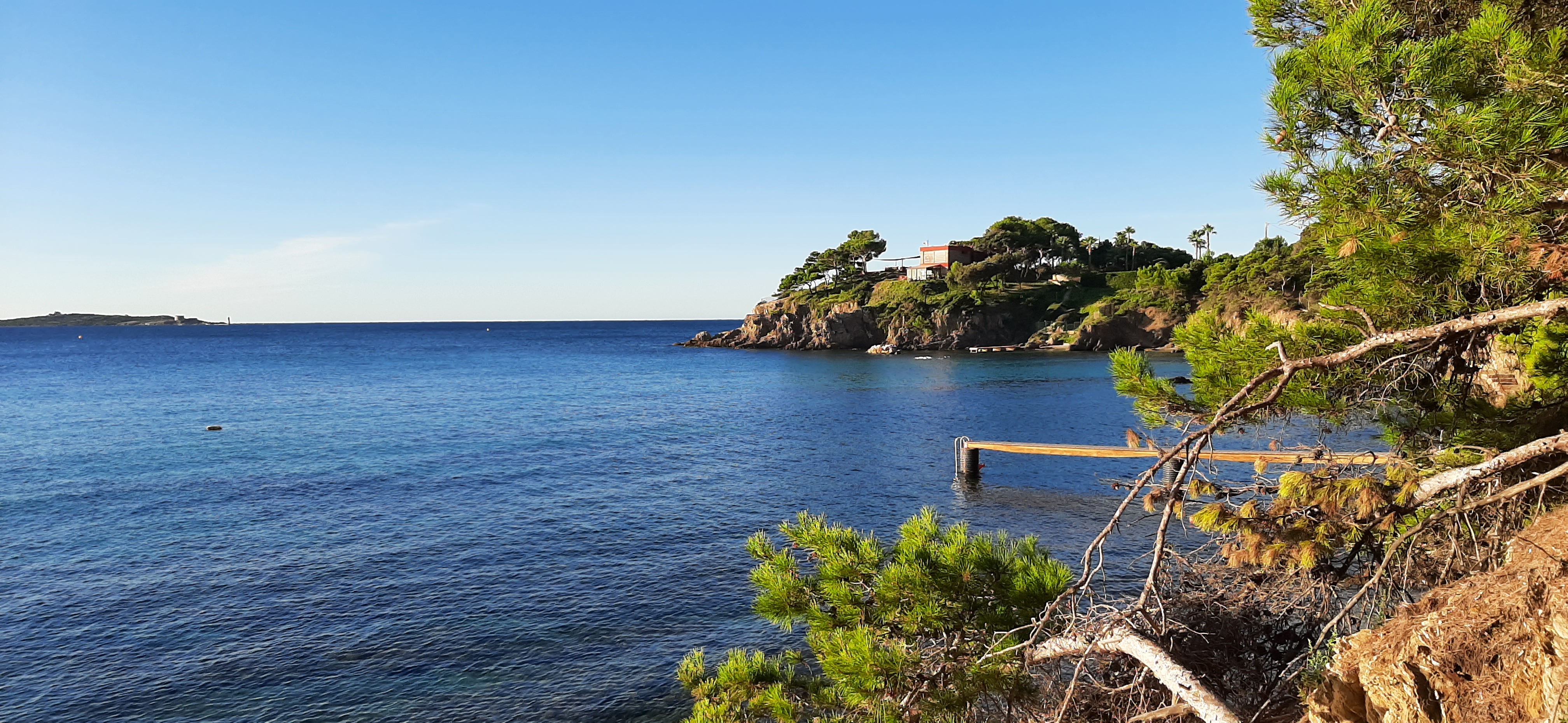 Graines de pirates � Giens : plantes pirates et tr�sors naturels