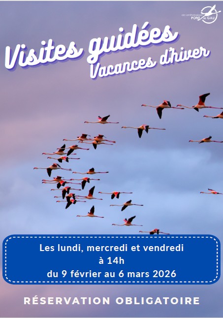Visite Guid�e Vacances d'Hiver