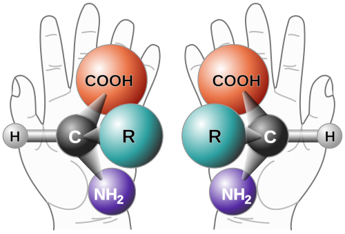 Caf� des sciences - Les mol�cules sont-elles de droite ou de gauche ?  Chiralit� : de l�origine de la Vie � la vie quotidienne