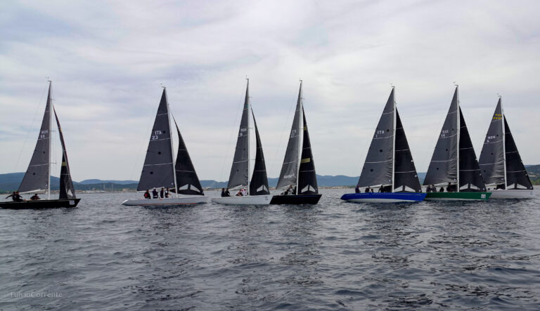 Coupe de L'Hippocampe - R�gate