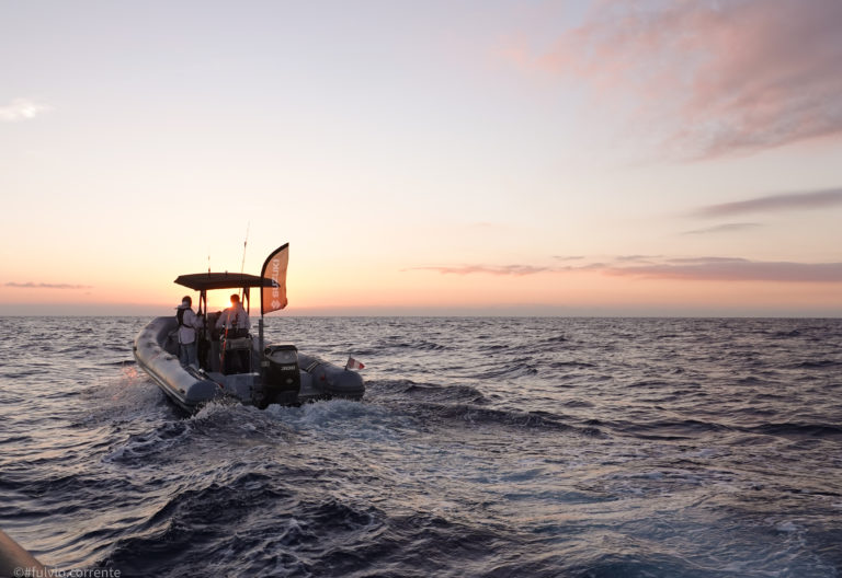 Suzuki Master Fishing - P�che