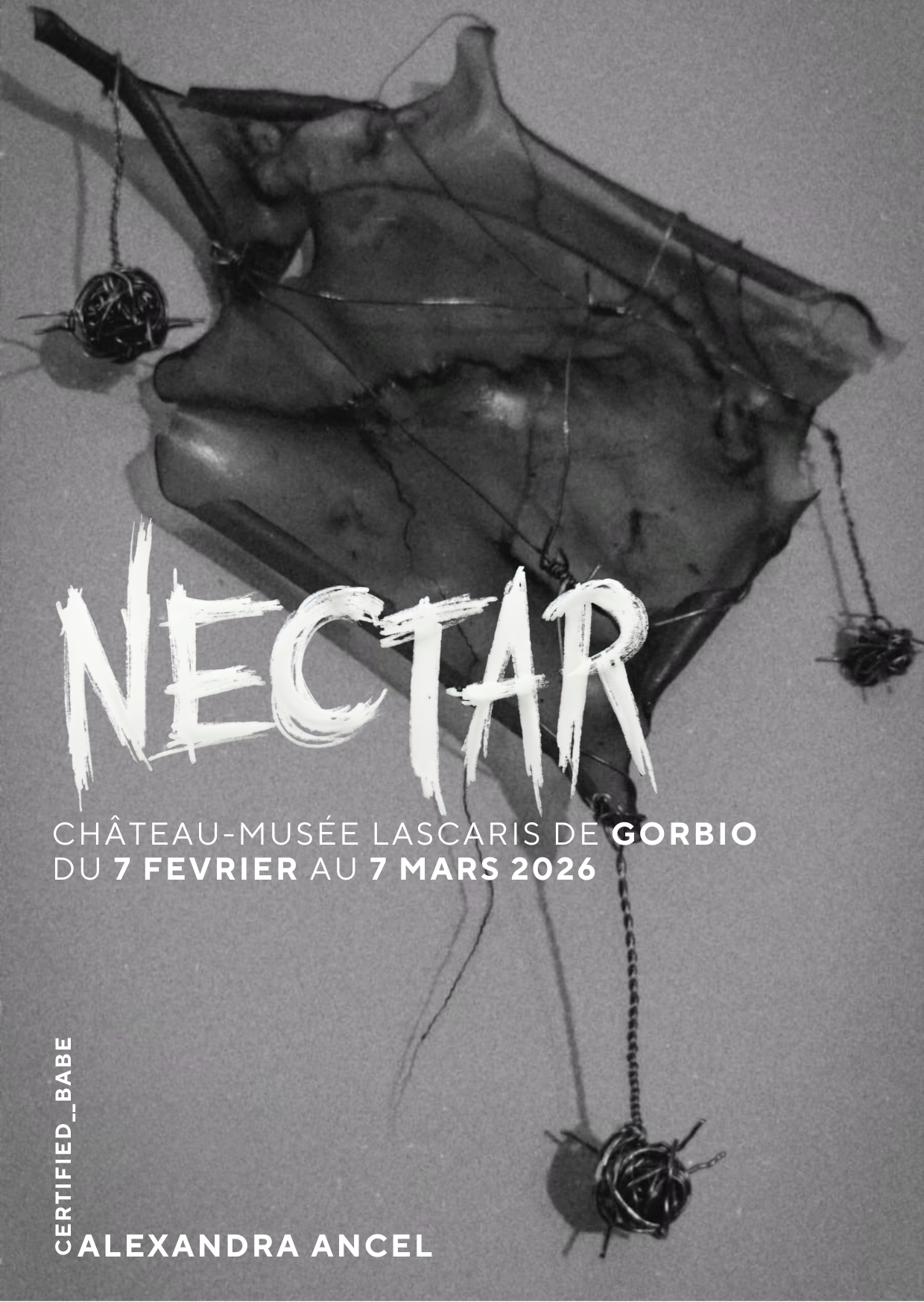 Installation Nectar -  Ch�teau-Mus�e Lascaris - Gorbio