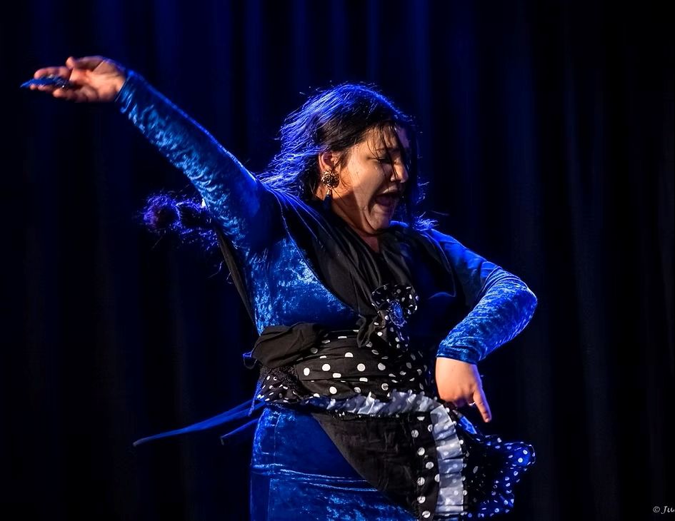 Soir�e de cl�ture du festival Flamenco Azul