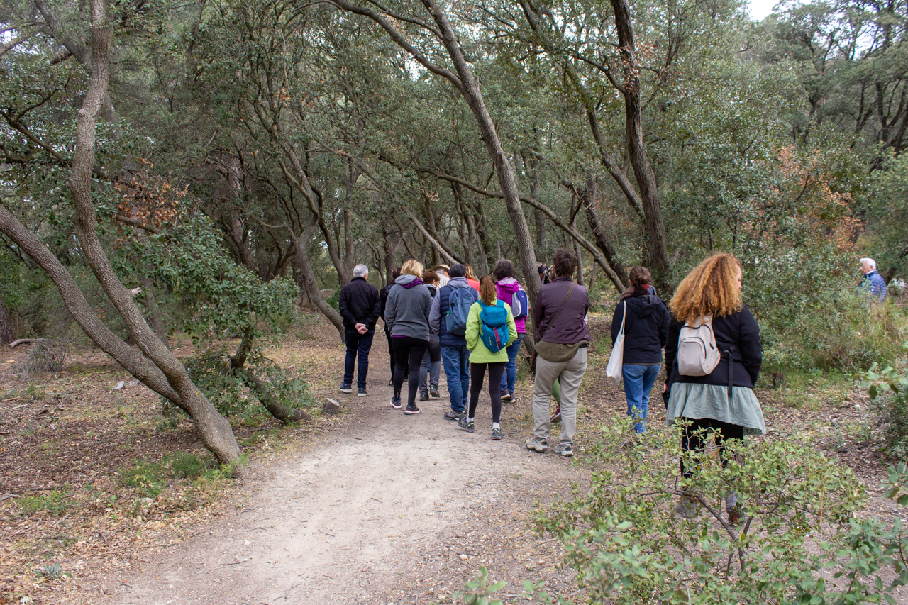 �co-balade : De la Ch�naie de Lavalduc vers les Salins de Rassuen