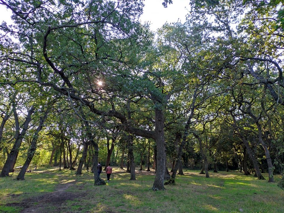 �co-balade : Haies et bois � Entressen