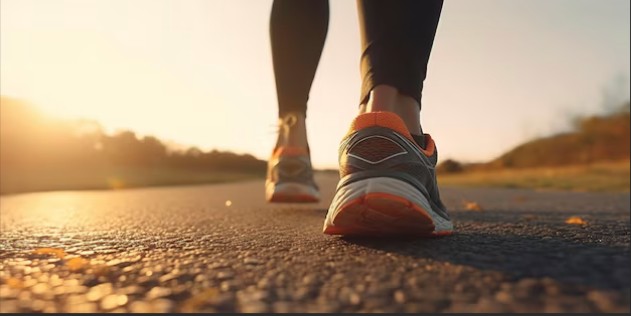 Courses de la Cit� des Papes