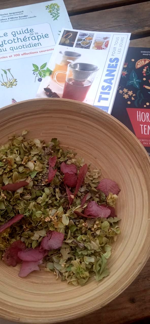 Reconnaissance de plantes et ateliers