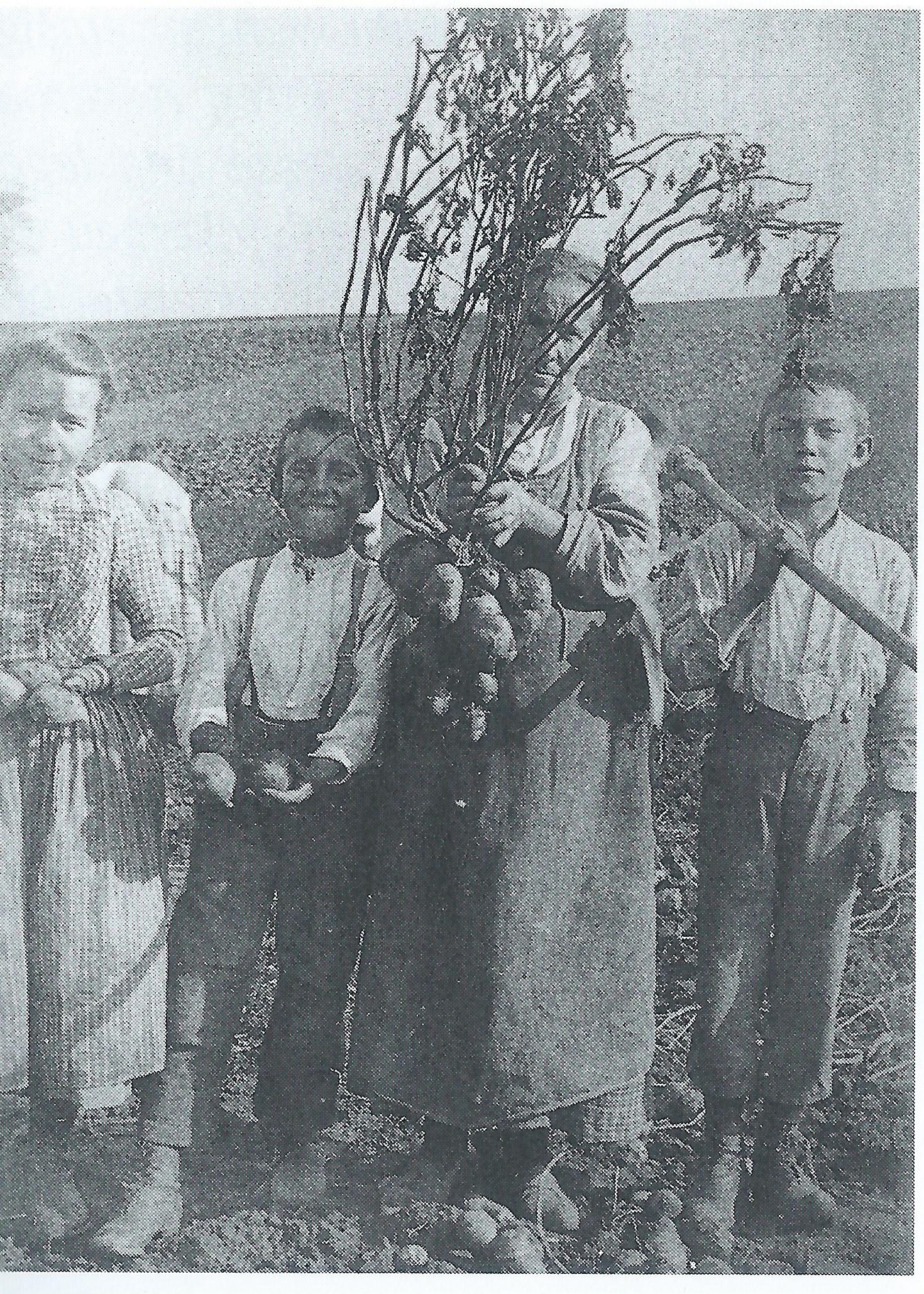 Prendre racines, familles et plantes en exil