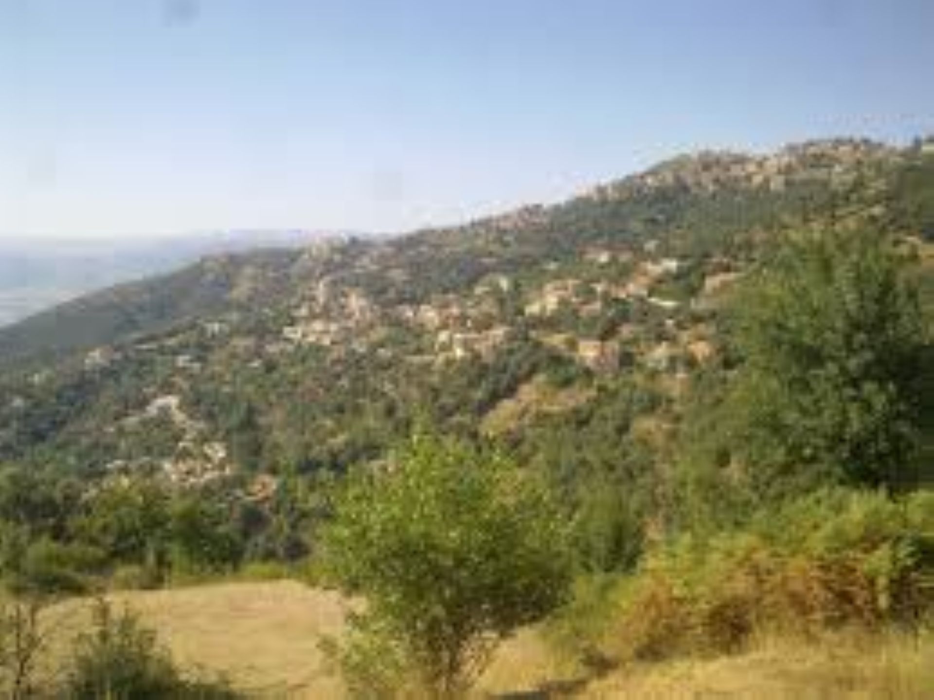 Conf�rence : Vie � vie Feraoun et Giono