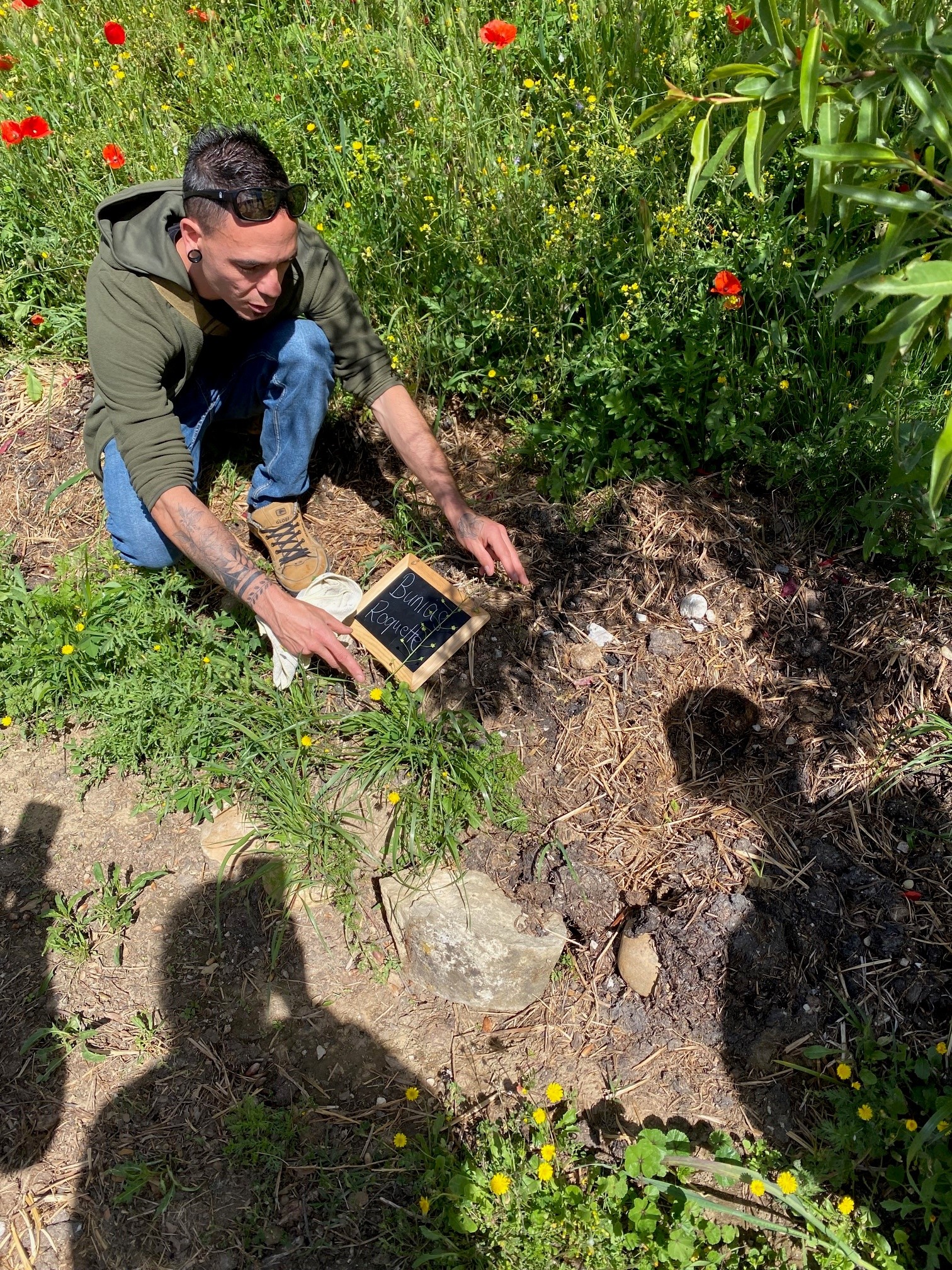 Balade �� la rencontre des plantes sauvages�