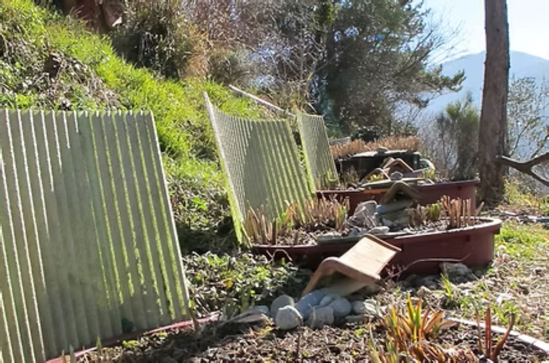 Atelier de Phyto-�puration - Th�orie et �tude de projets    