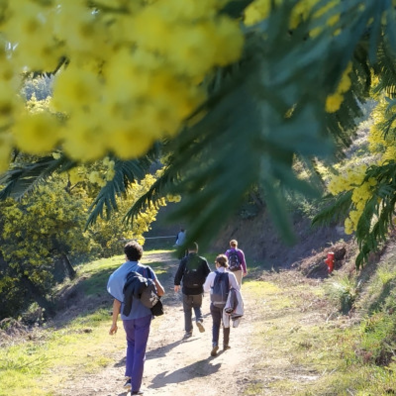 Balade nature avec Denis HUIN