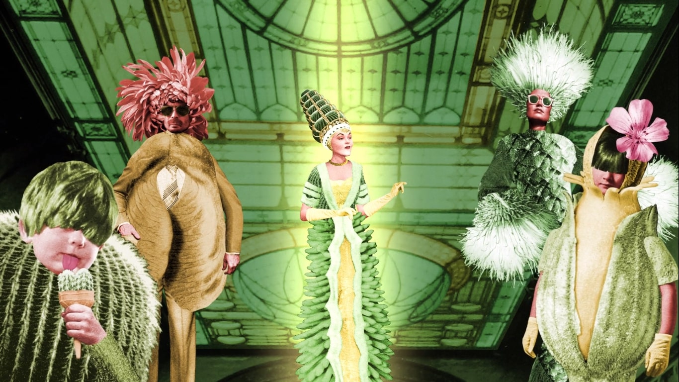 D�couverte du dessin anim� au film d�animation