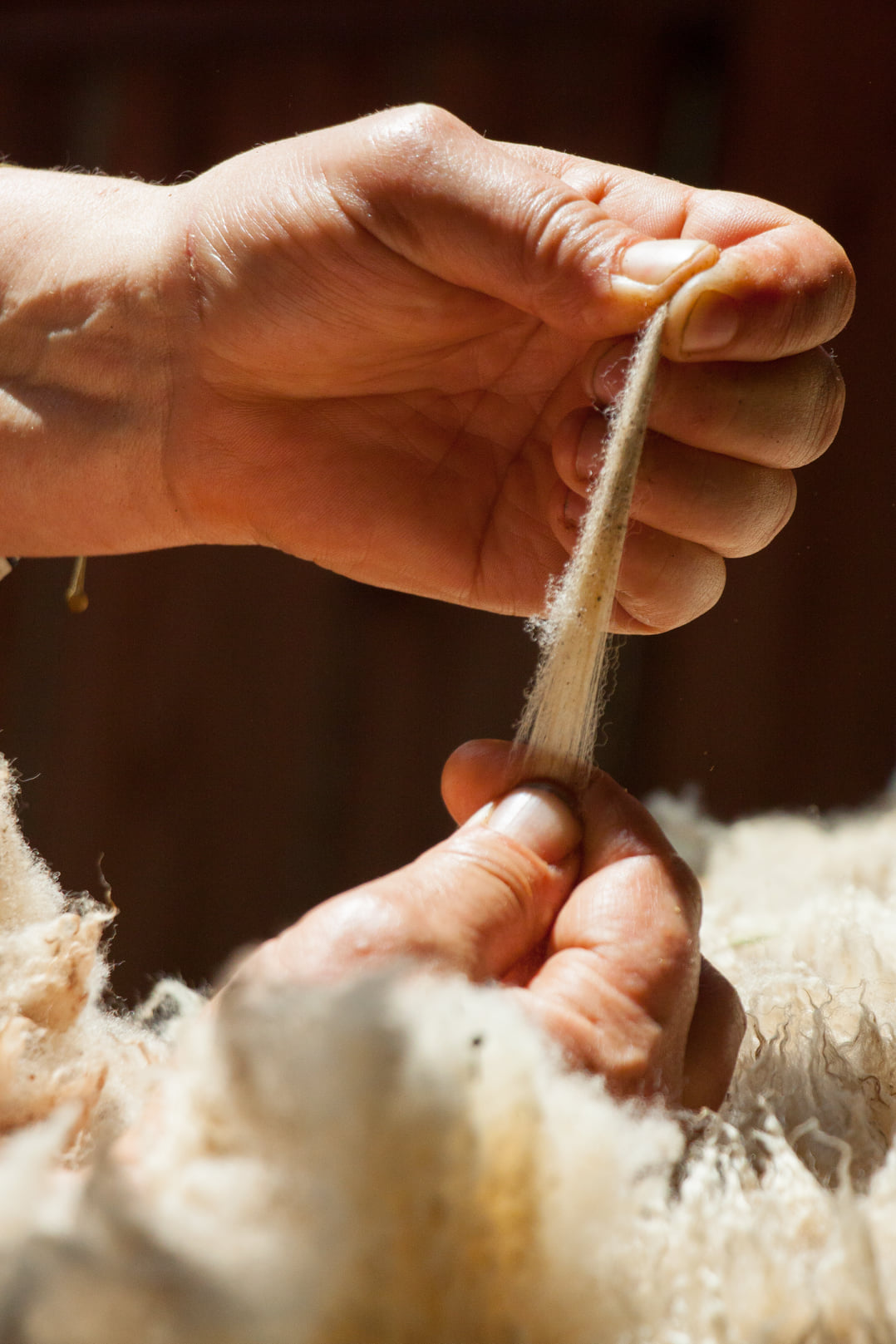 Atelier cr�ation de fleurs en laine feutr�e � la Ferme du Lambert