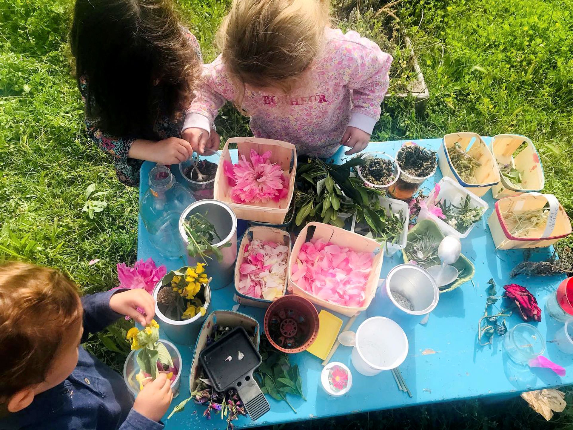 F�te de la Nature : Nature, Lectures et Jeux !