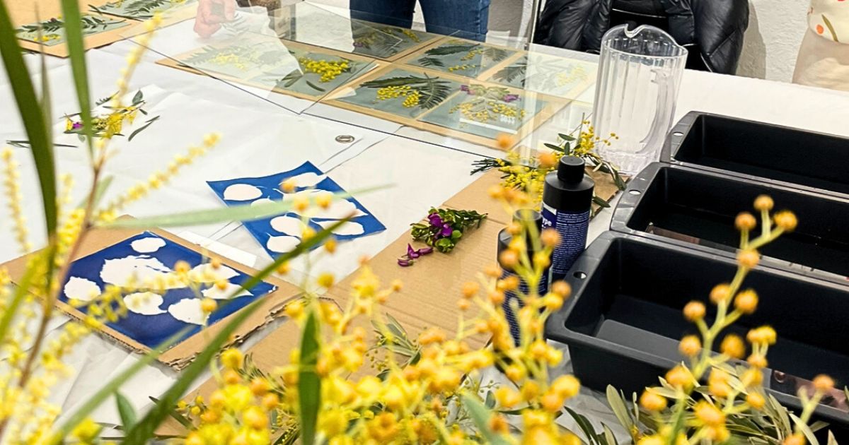 ATELIER : Impressions v�g�tales au cyanotype