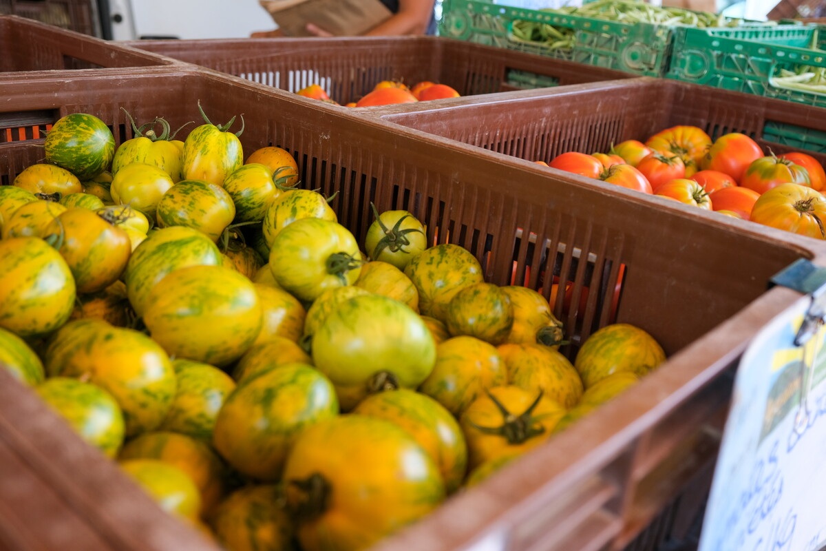 March� de producteurs des all�es de l'Oulle