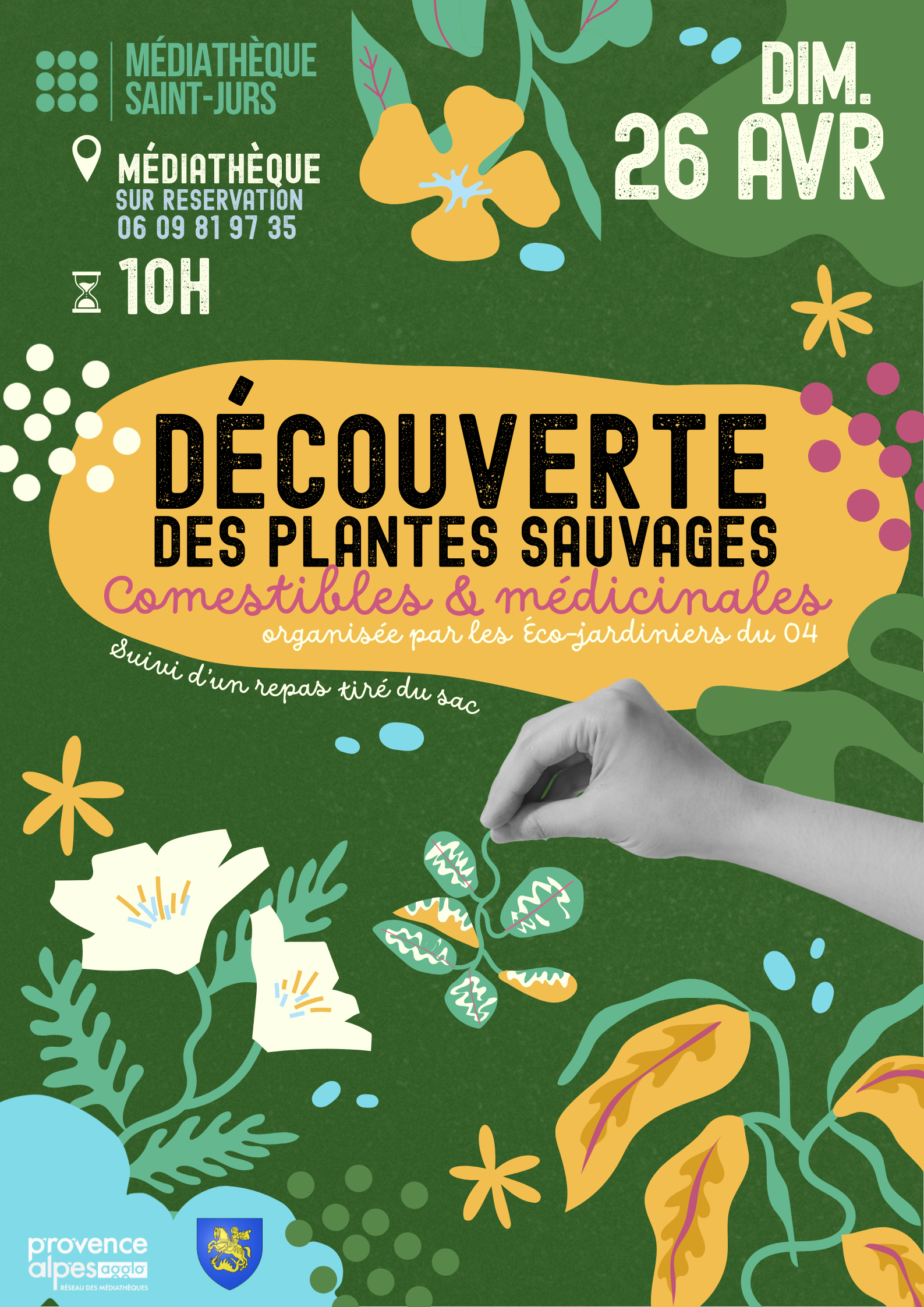 D�couvertes des plantes sauvages comestibles et m�dicinales