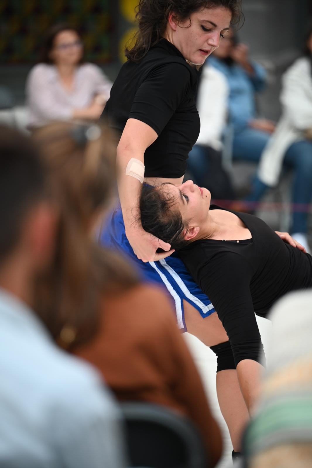 Le Grand M�nage de printemps / YES, WE FIGHT - Compagnie Daruma