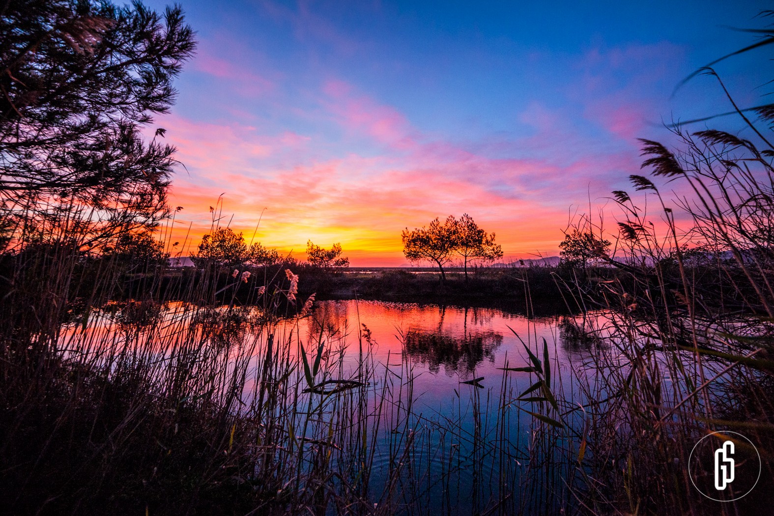 Exposition Life+ENVOLL