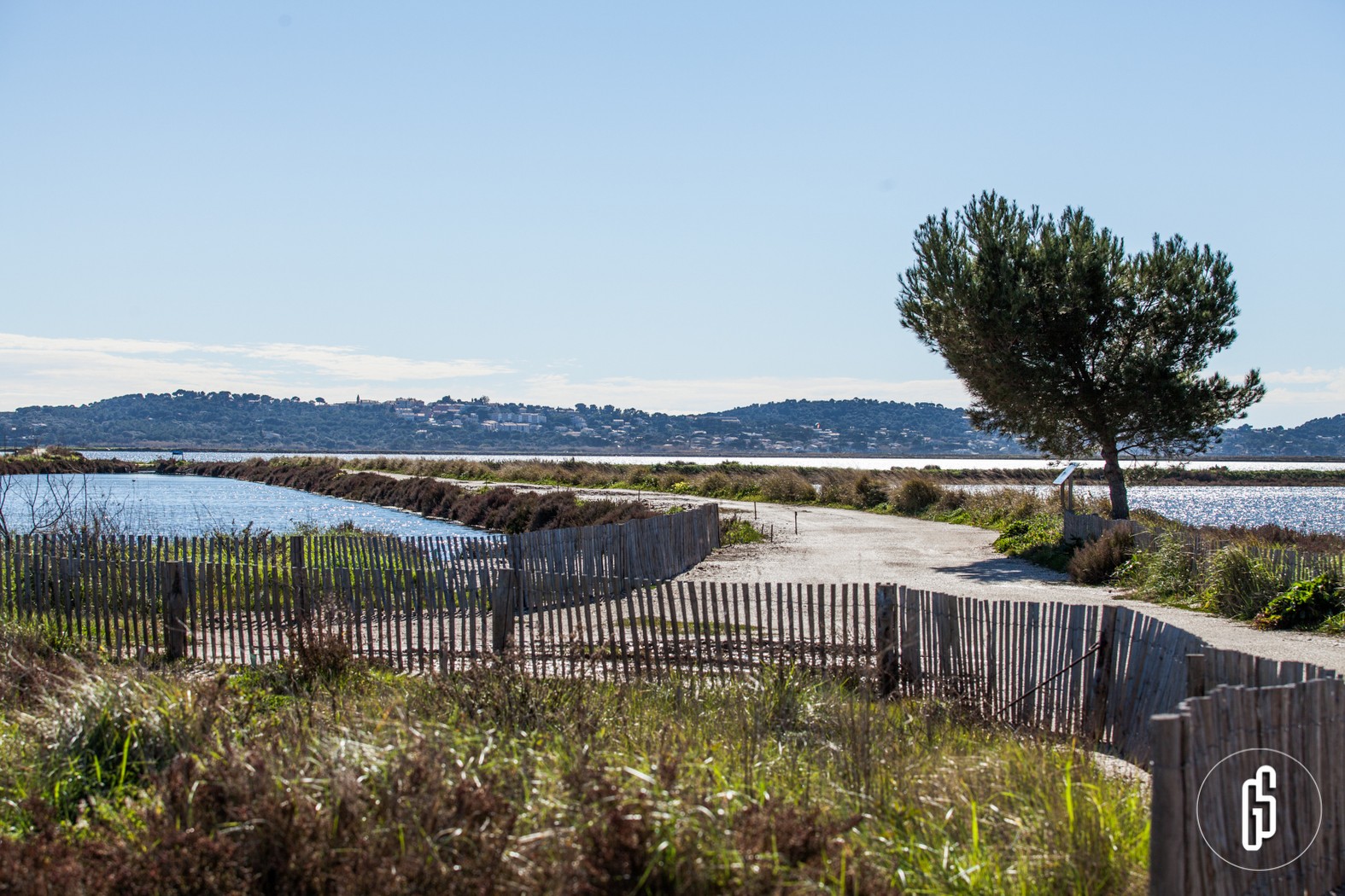 Exposition La saga des plantes libres