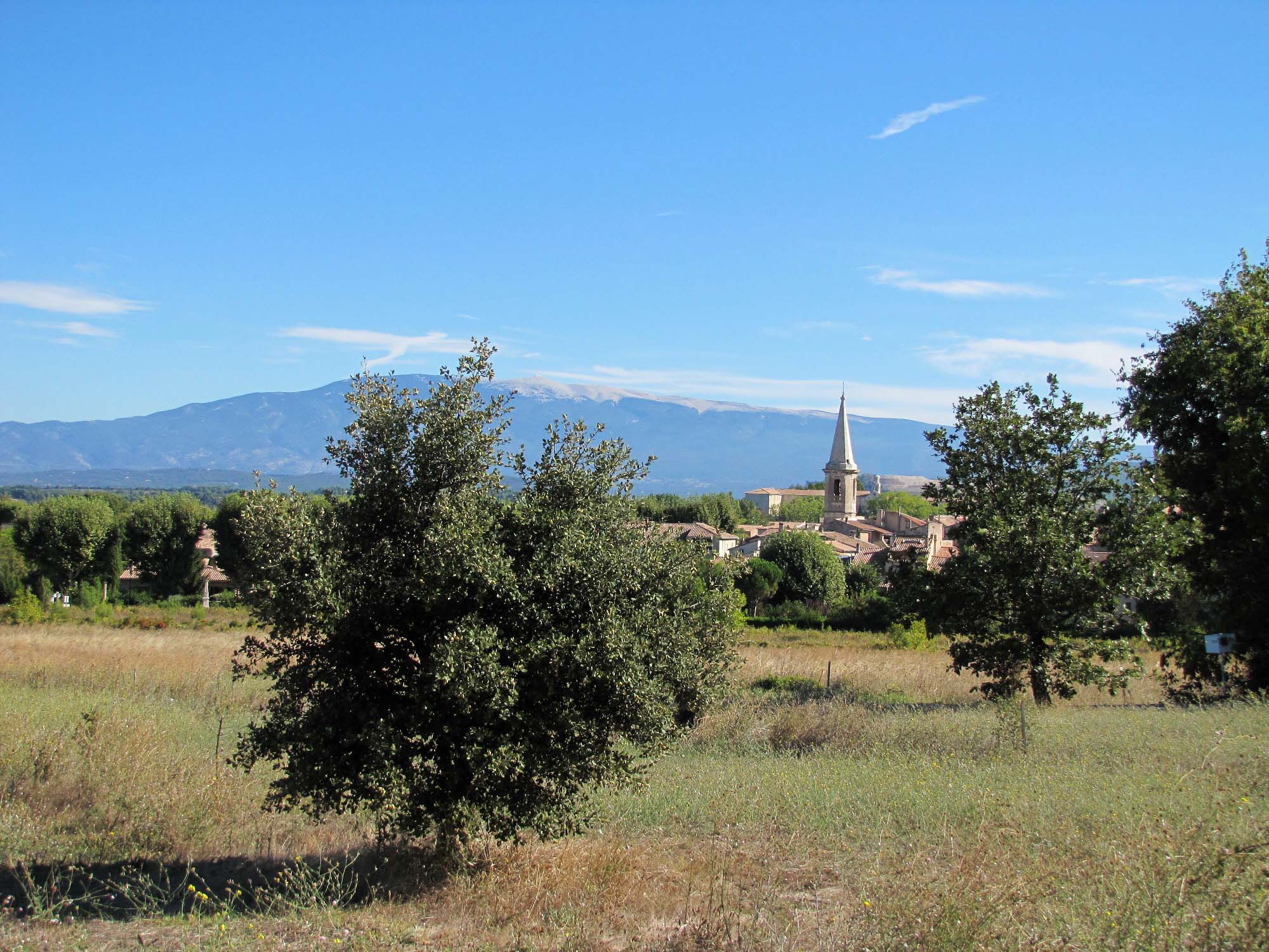 Conf�rence-d�bat : Le peintre Fernand L�ger