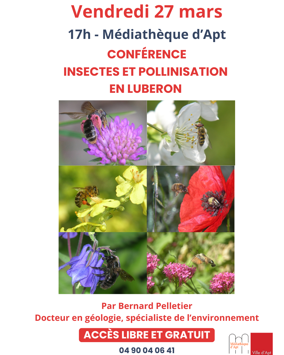 Conf�rence Insectes et pollinisation en Luberon par Bernard Pelletier