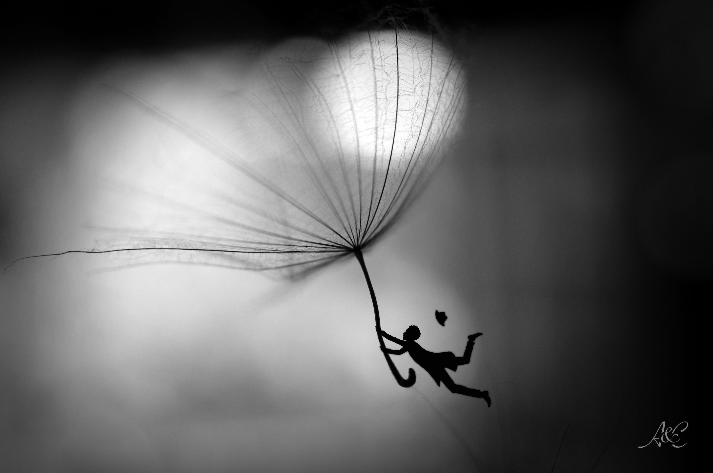 Exposition de photos : un petit monde en miniature