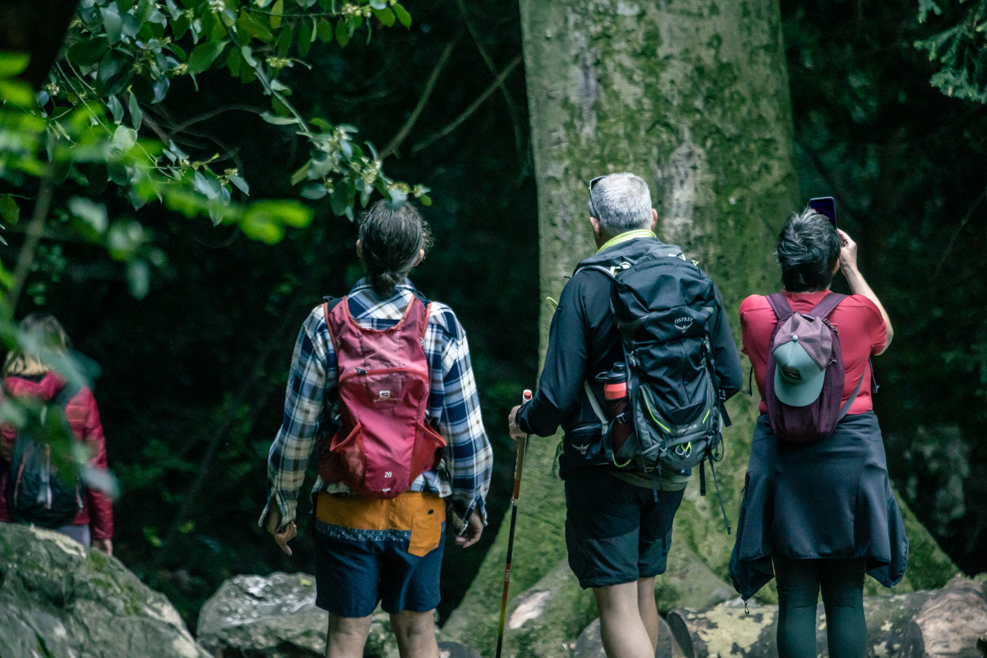 #RDVduParc � Visite guid�e de la for�t de la Sainte-Baume