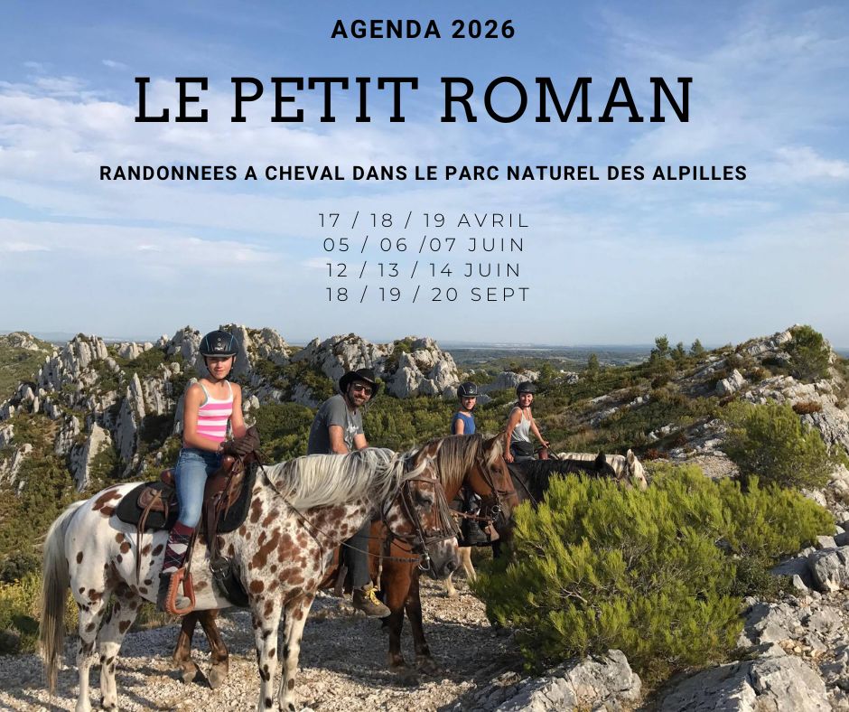Randonn�e � cheval en pension compl�te ou � la journ�e aux Ecuries du Petit Roman