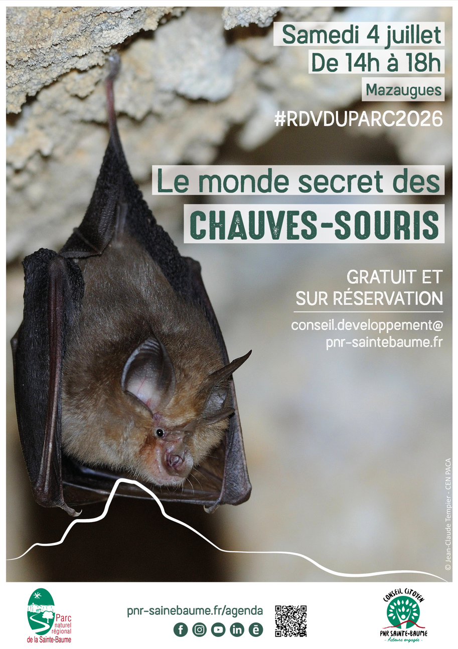 #RDVduParc � Le monde secret des chauves-souris