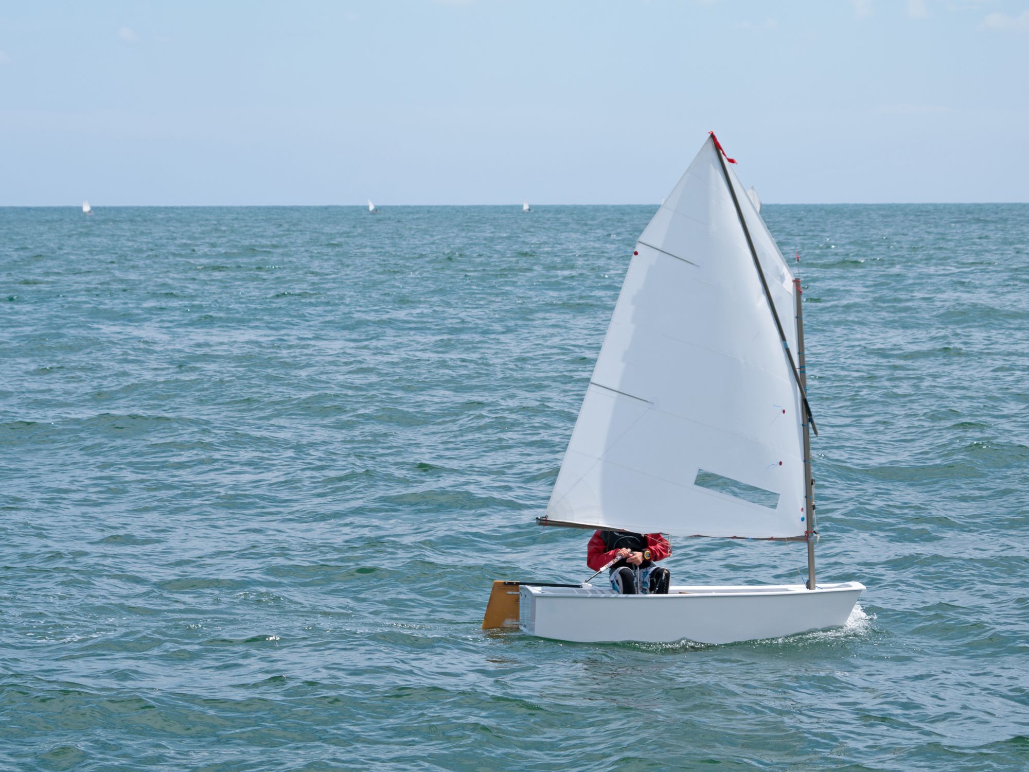 Championnat D�partemental Optimist