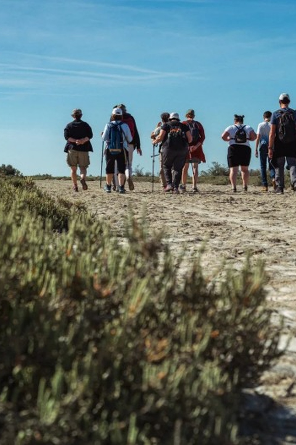 D�couverte de la Tour du Valat