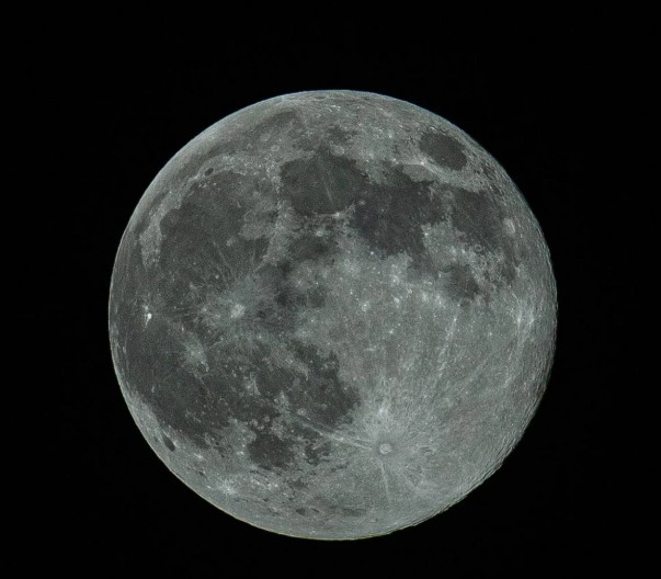 La t�te dans les �toiles � la rencontre des animaux c�lestes