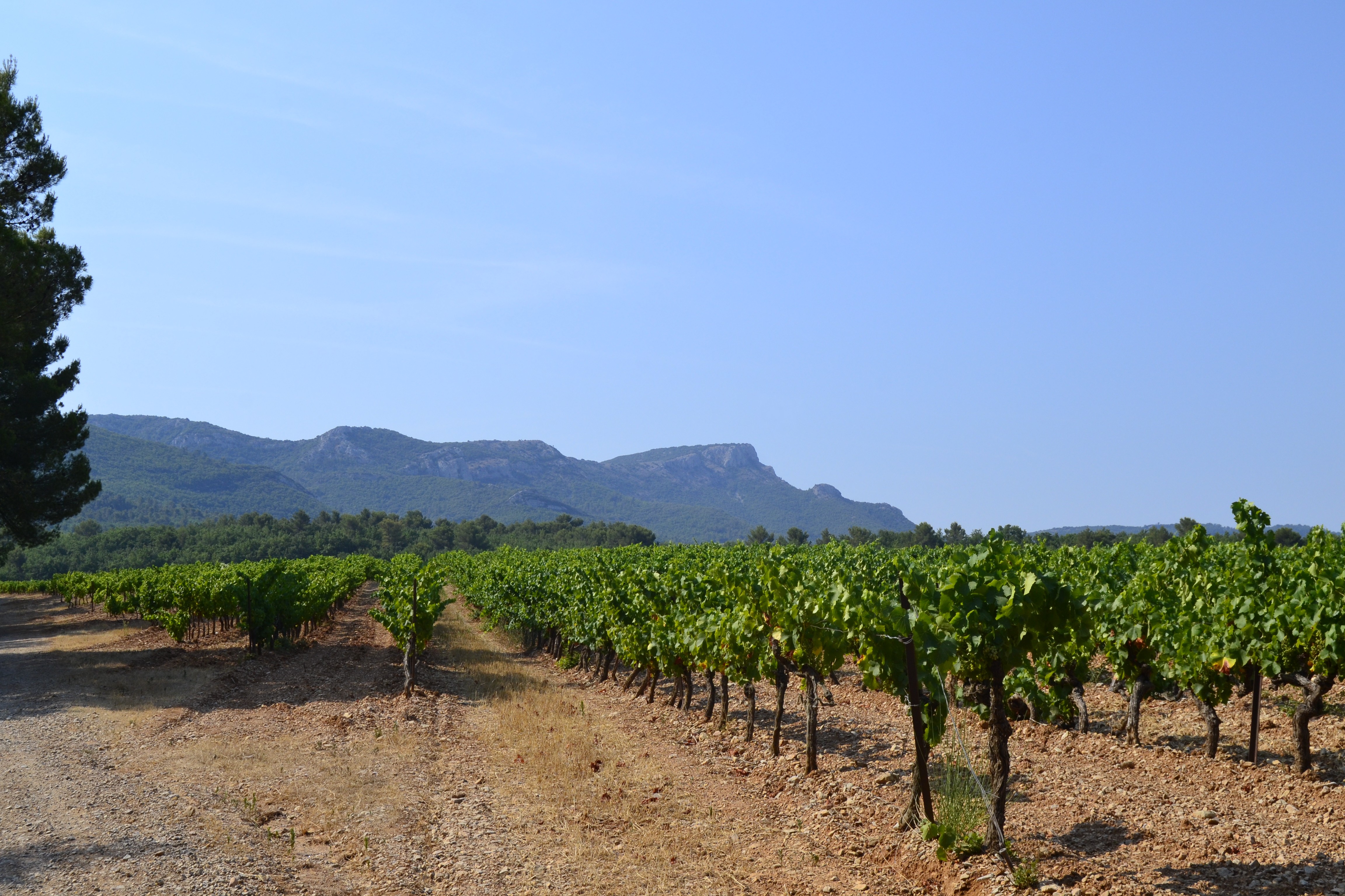 #RDVduParc � Sur le chemin des contrebandiers