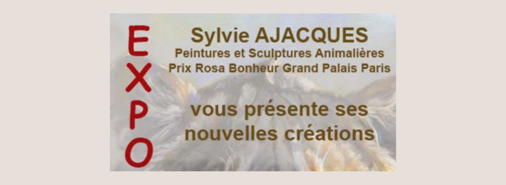 Exposition de Sylvie Ajacques : L'instant d'un regard