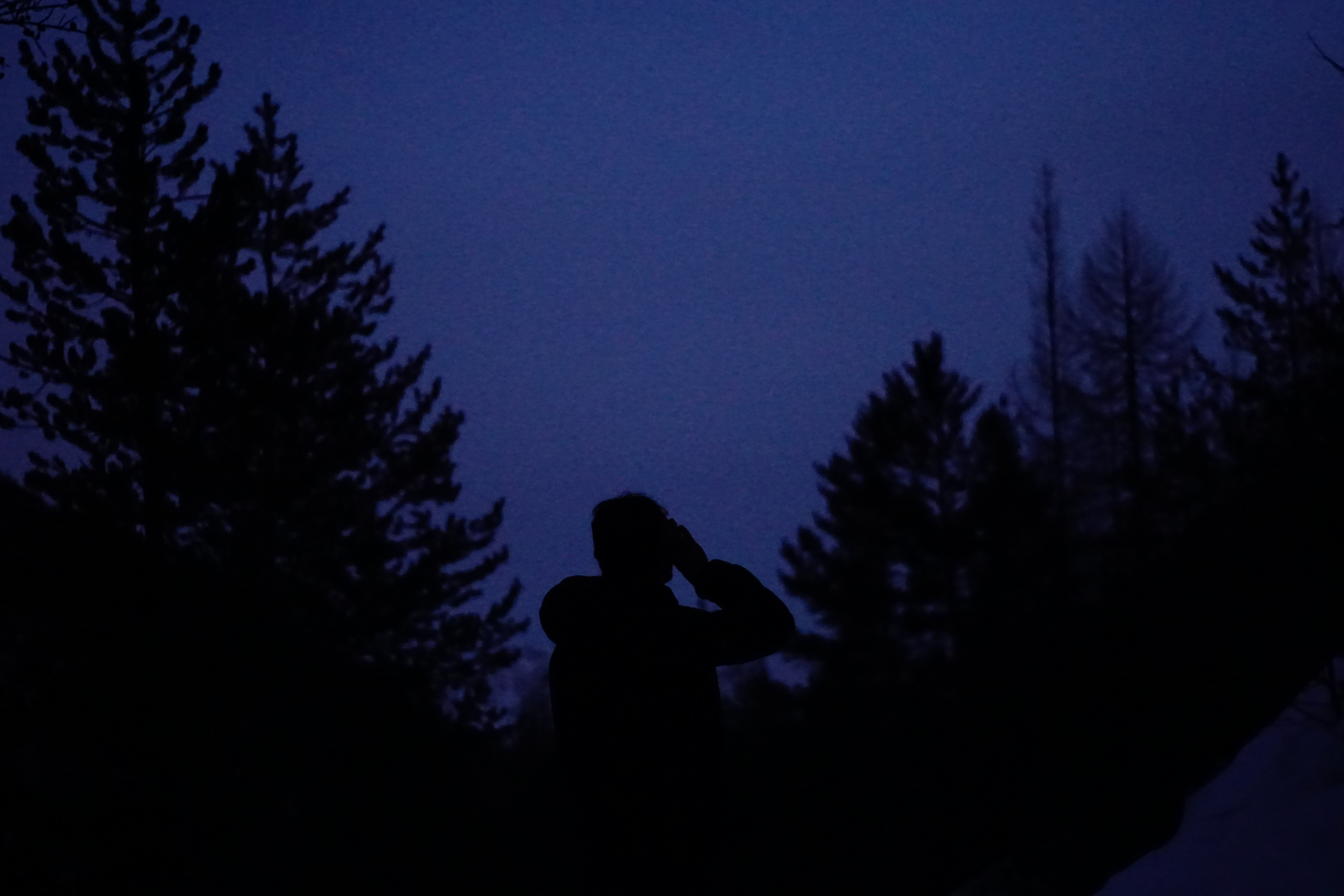 Balade nocturne : chouette soir�e en for�t