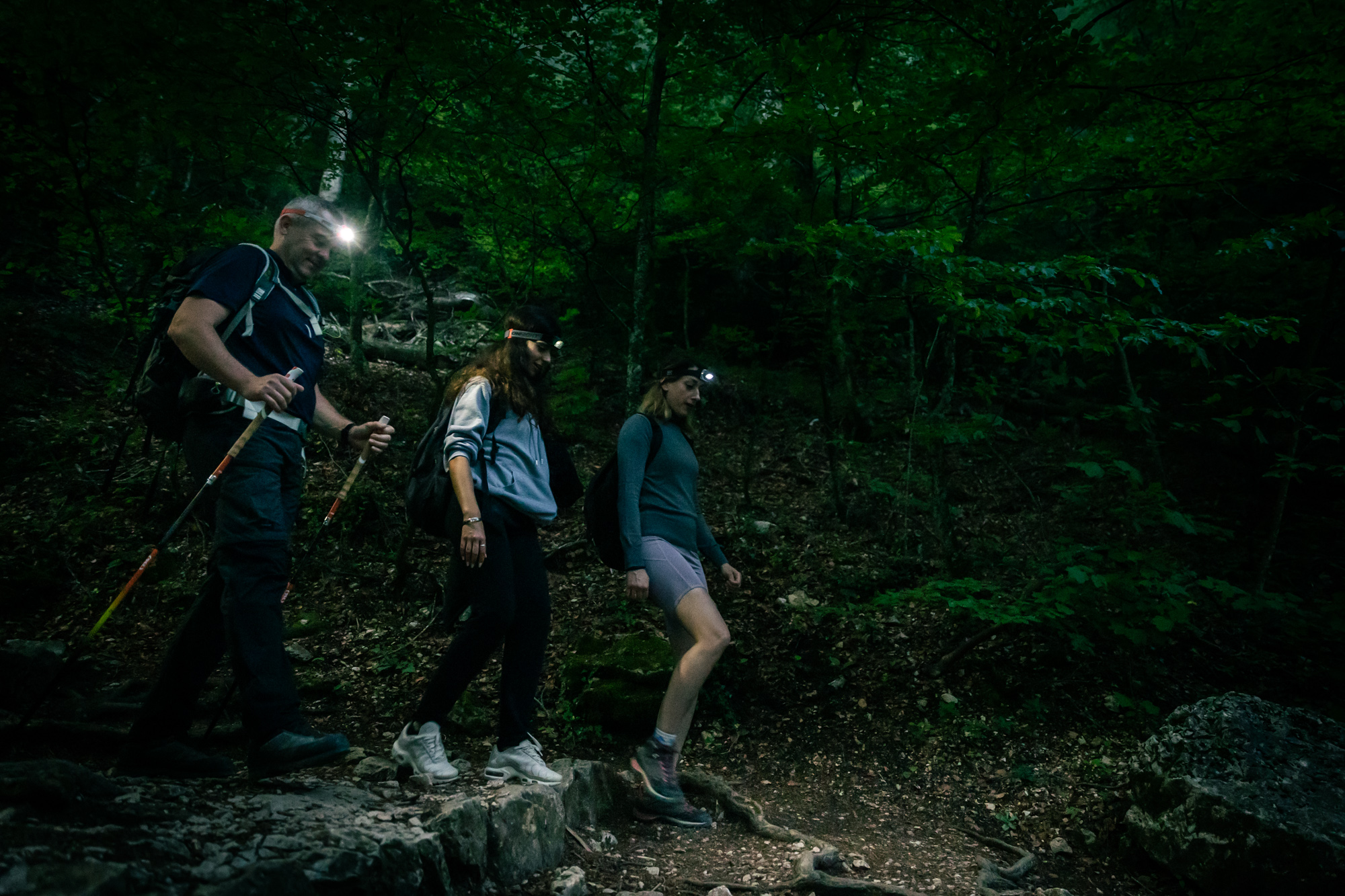 #RDVduParc � D�couverte insolite de la h�traie relique