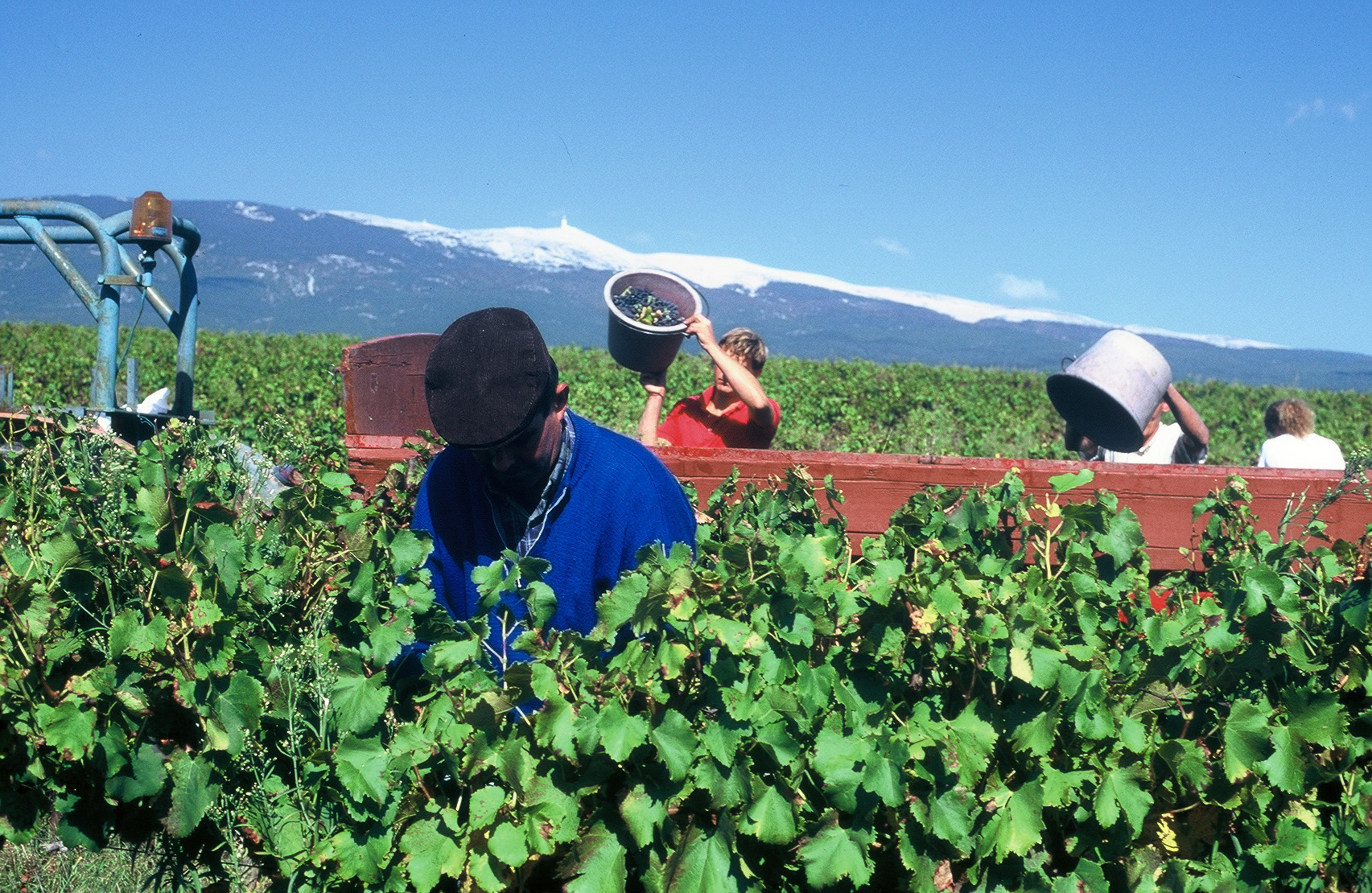 Visite sp�ciale vendanges
