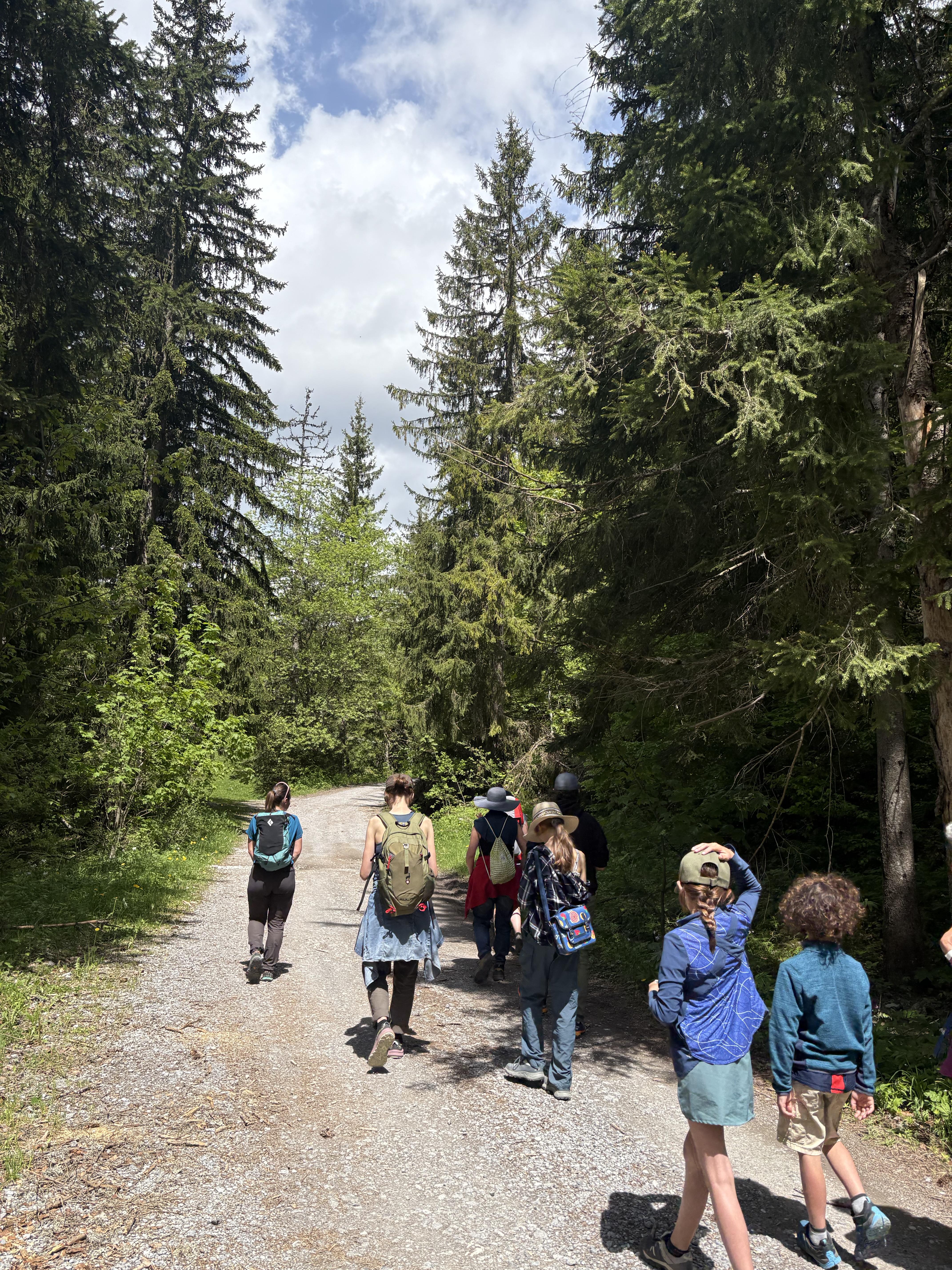 Balade botanique familiale