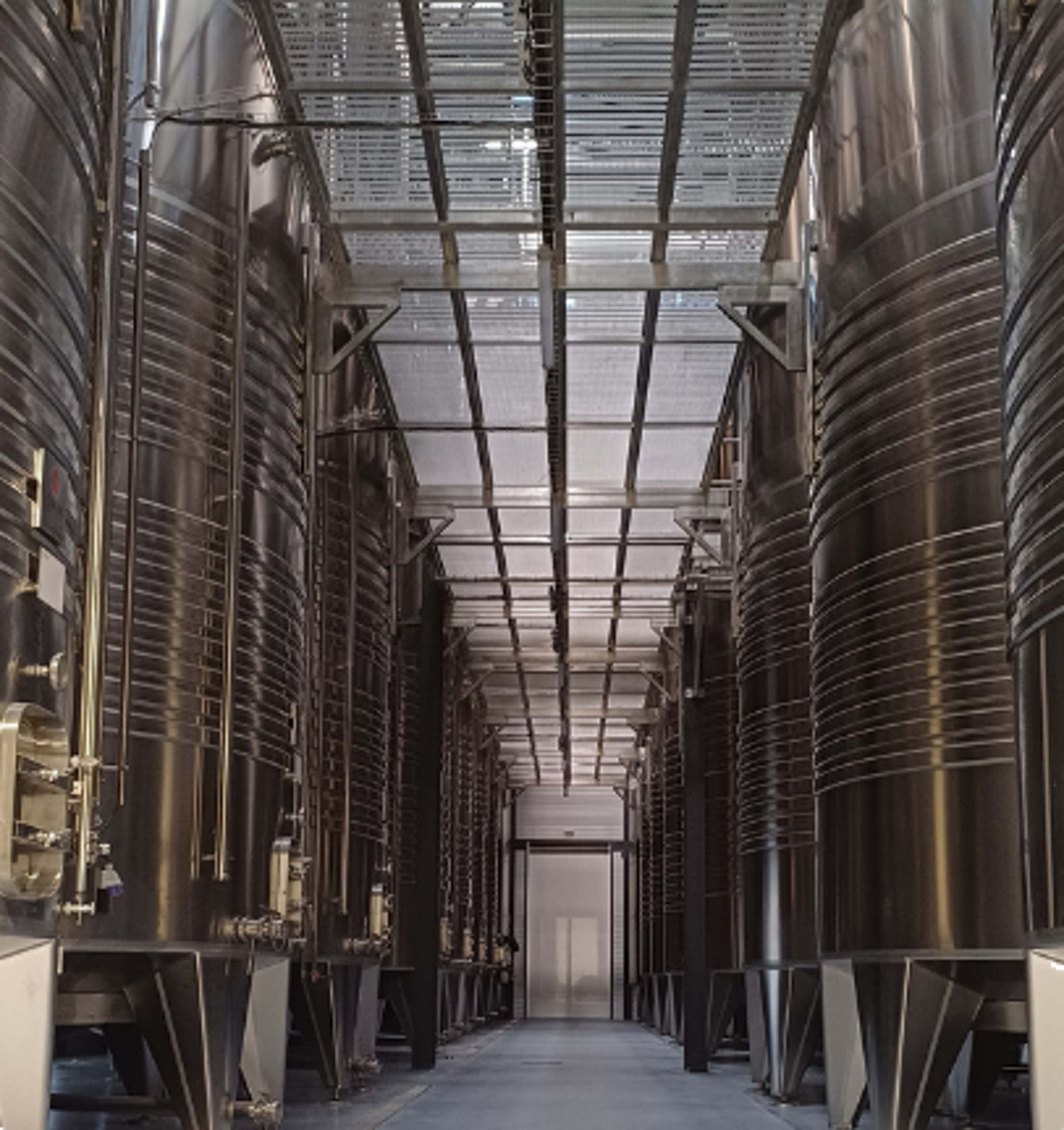 Les Lambesc'apades : visite du Vignoble du Roy Ren�