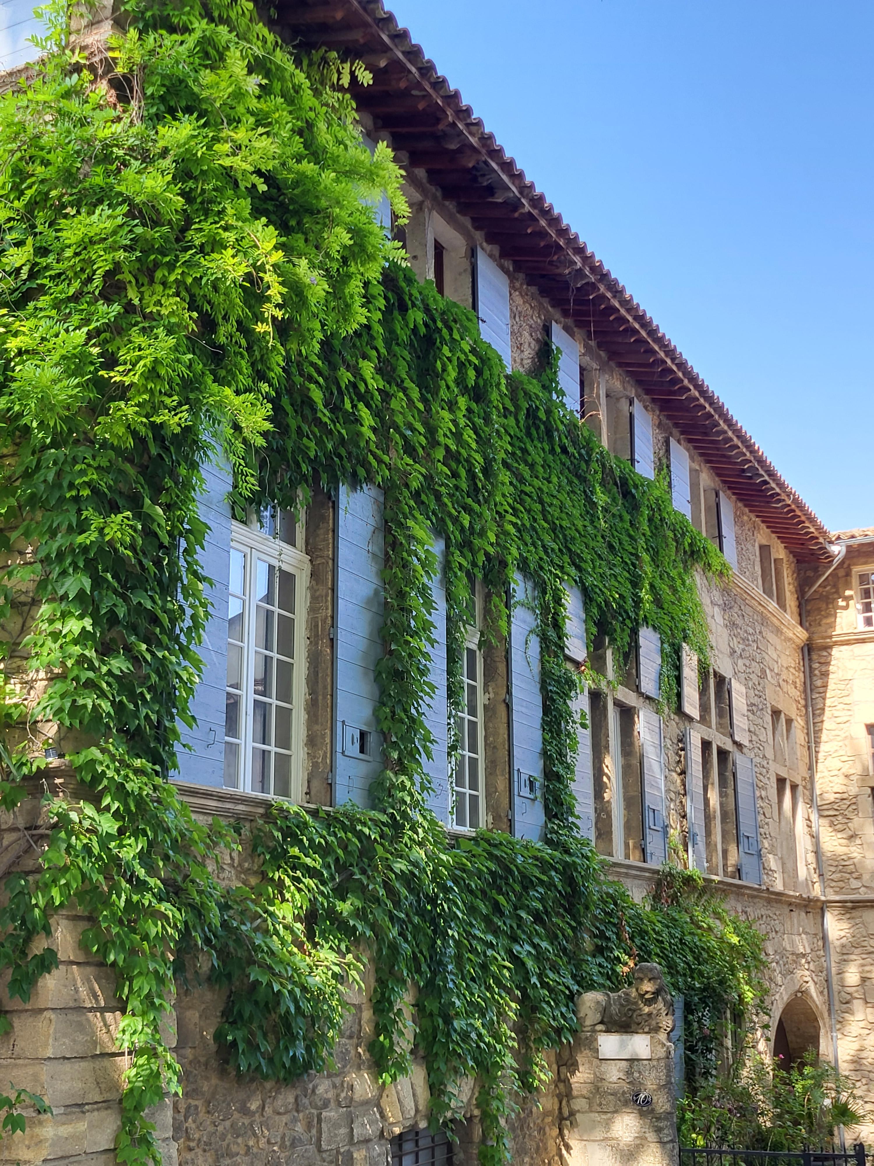 Les Lambesc'apades : Les v�g�taux ornementaux de Lambesc !